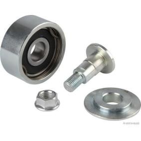 Umlenk- / Führungsrolle, Keilrippenriemen J1142114
