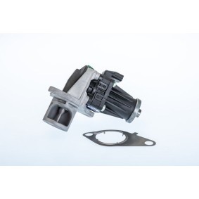 Acquista Valvola EGR da WAHLER 710978R a buon mercato per soli 227,71 €