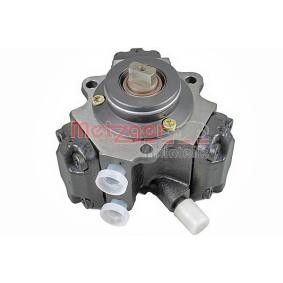 Achetez des Pompe à injection METZGER 0830103 à prix pour 611,24 €