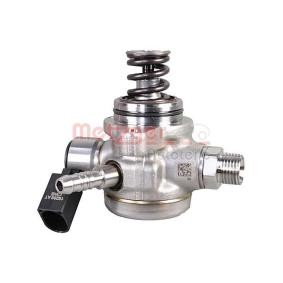 Osta Korkeapainepumppu METZGER:llä 2250349 edullisesti hintaan 287,25 €