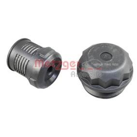 Köp Hydraulikfilter, Haldeskoppling av METZGER 8020115 till det låga priset 331,82 kr