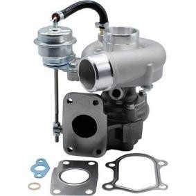 Turbolader 807101005300 für FIAT