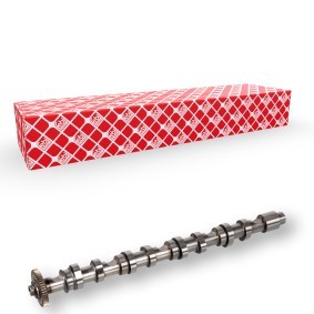 Acquista Albero a camme da FEBI BILSTEIN 171969 a buon mercato per soli 203,54 €