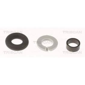 Dichtungssatz, Einspritzdüse 596-1006 SSANGYONG TIVOLI von TRISCAN