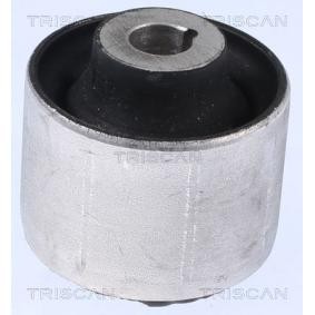 Lagerung, Lenker von TRISCAN