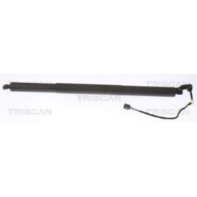 Achetez des Vérin de coffre TRISCAN 8710 29306 à prix pour 251,91 €