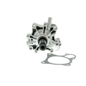 Achetez des Pompe à eau de chez AISIN en ligne pour MASSIF Single Cab à prix modérés