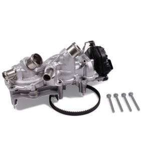 Achetez des Pompe à eau de chez HEPU en ligne pour Fabia IV 3/5 portes (PJ3) à prix modérés