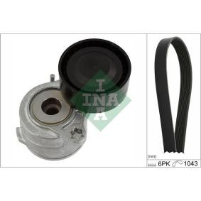 Achetez des Kit de courroie d'accessoire de chez INA en ligne pour C4 III 3/5 portes (BA, BB, BC) à prix modérés