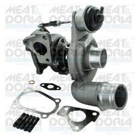 RENAULT Turbolader von MEAT & DORIA