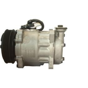 Klimakompressor ACP 365 000S