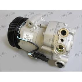 Acquista Compressore aria condizionata da FRIGAIR 940.10975 a buon mercato per soli 416,21 €