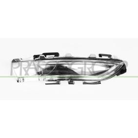 Blinker FT0607415