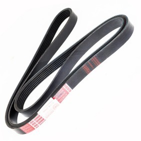 Achetez des Courroie Poly-V MASTER-SPORT 6PK1745-PCS-MS à prix pour 16,95 €