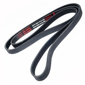 Achetez des Courroie Poly-V MASTER-SPORT 6PK1890-PCS-MS à prix pour 18,35 €