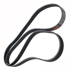 Achetez des Courroie Poly-V MASTER-SPORT 6PK1955-PCS-MS à prix pour 19,29 €