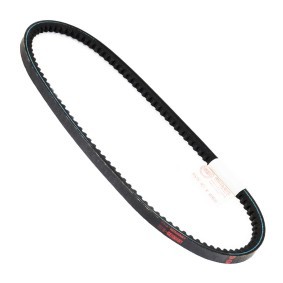 Achetez des Courroie trapézoïdale de chez MASTER-SPORT en ligne pour Jumpy I Camion plate-forme/Châssis (BU, BV, BW, BX) à prix modérés