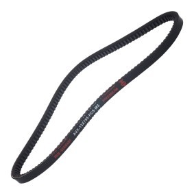 Keilriemen AVX-13X795-PCS-MS