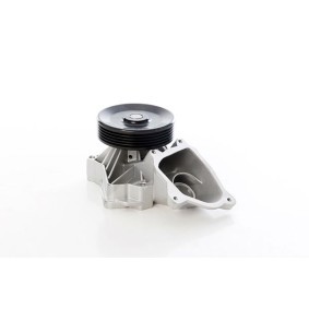 Achetez des Pompe à eau BSG BSG 15-500-043 à prix pour 74,70 €