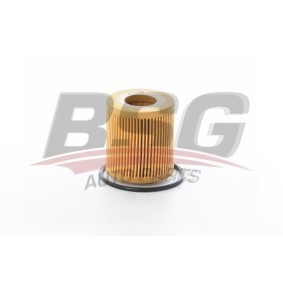 Köp Oljefilter av BSG BSG 65-140-021 till det låga priset 322,20 kr