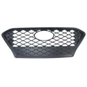 Kühlergrill 6502-07-9080990P