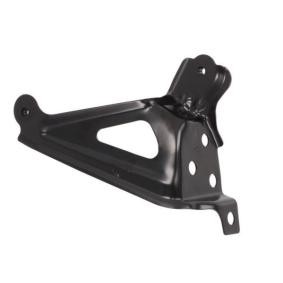 Halter, Kotflügel 7802-03-8140382P