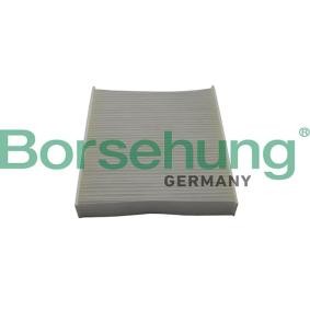 Køb Pollenfilter af Borsehung B10514 til den lave pris 111,79 DKK