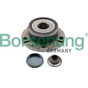 Radlagersatz von Borsehung B11287