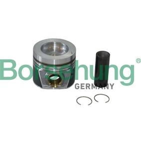 Comprar Juego de aros de pistón de Borsehung B19299 a bajo precio de 137,65 €