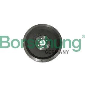 Schwungrad B19306 SKODA SCALA von Borsehung