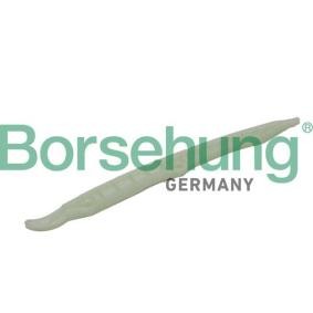 Gleitschiene, Steuerkette von Borsehung