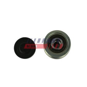 Achetez des Poulie, alternateur FAST FT45648 à prix pour 37,28 €
