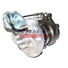 Mutter, Kegelrad FT62438 IVECO Daily von FAST