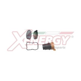 Köp Hydraulikfilter, automatväxel av AP XENERGY X1578031 till det låga priset 246,36 kr