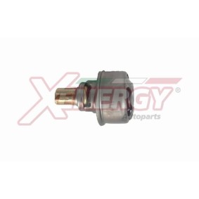 Achetez des Thermostat d'eau AP XENERGY XT4495.86 à prix pour 44,88 €