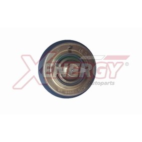 Achetez des Thermostat d'eau AP XENERGY XT4856 à prix pour 48,27 €