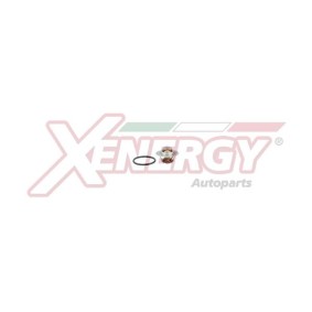 Achetez des Thermostat d'eau AP XENERGY XT5962.82 à prix pour 49,81 €