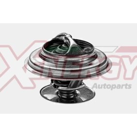 Achetez des Thermostat d'eau AP XENERGY XT5963 à prix pour 63,88 €