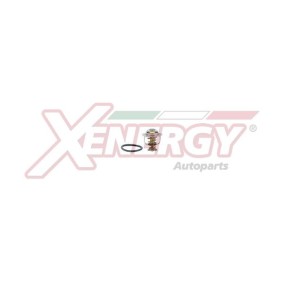 Achetez des Thermostat d'eau AP XENERGY XT6295.88 à prix pour 55,55 €