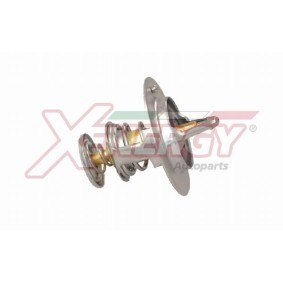 Kühlwasserthermostat von AP XENERGY