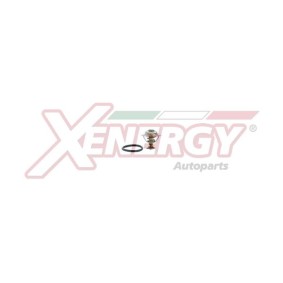 Kühlwasserthermostat von AP XENERGY