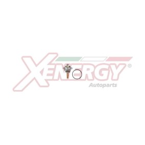 Kühlwasserthermostat von AP XENERGY
