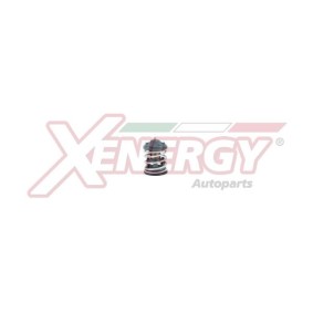 Achetez des Thermostat d'eau AP XENERGY XT7088 à prix pour 51,32 €
