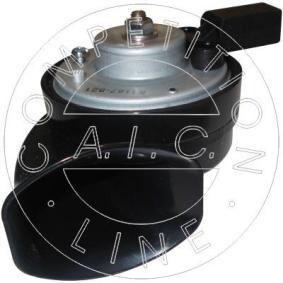 Horn von AIC