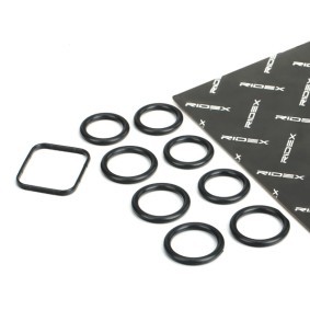 MINI Dichtungssatz, Ansaugkrümmer von RIDEX