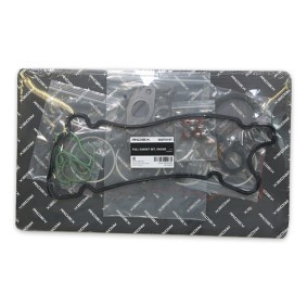 Achetez des Pochette de joints moteur RIDEX 560F0197 à prix pour 68,49 €