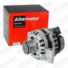 Lichtmaschine SKGN-03221468