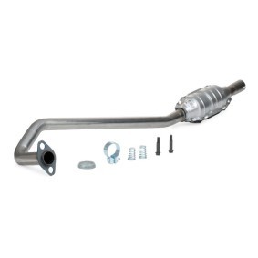 Katalysator 290043