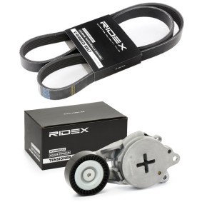 Achetez des Kit de courroie d'accessoire de chez RIDEX en ligne pour Urban Cruiser (_P1_) à prix modérés