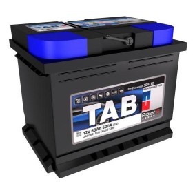 Batterie 246062